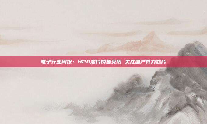 电子行业周报:H20芯片销售受限 关注国产算力芯片
