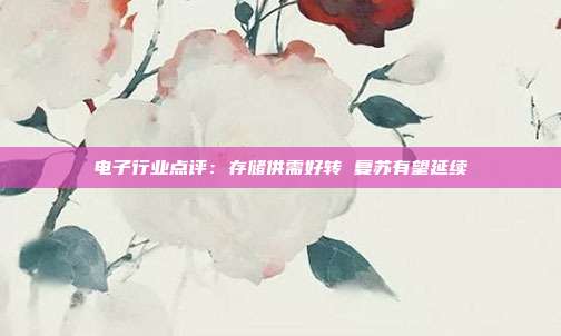 电子行业点评:存储供需好转 复苏有望延续