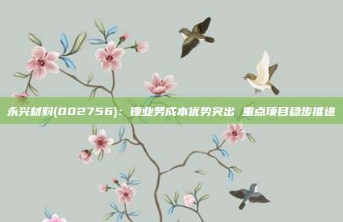 永兴材料(002756):锂业务成本优势突出 重点项目稳步推进