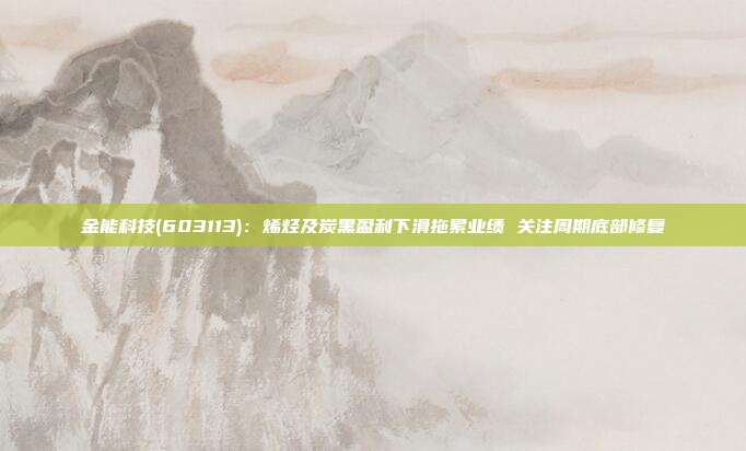 金能科技(603113):烯烃及炭黑盈利下滑拖累业绩 关注周期底部修复