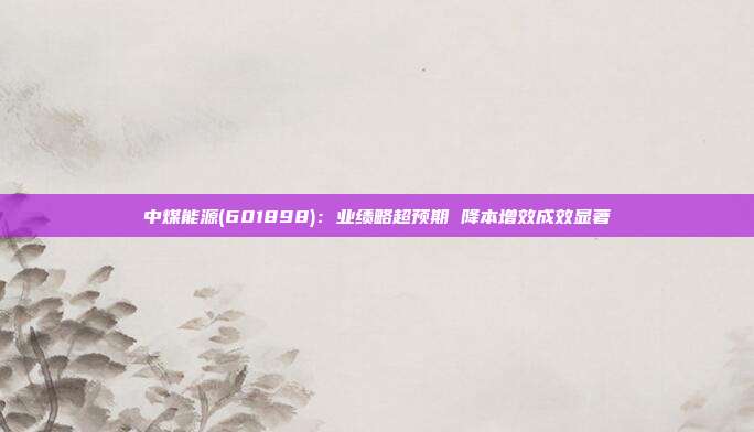 中煤能源(601898):业绩略超预期 降本增效成效显著