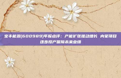 宝丰能源(600989)年报点评:产能扩张推动增长 内蒙项目逐步投产保障未来业绩
