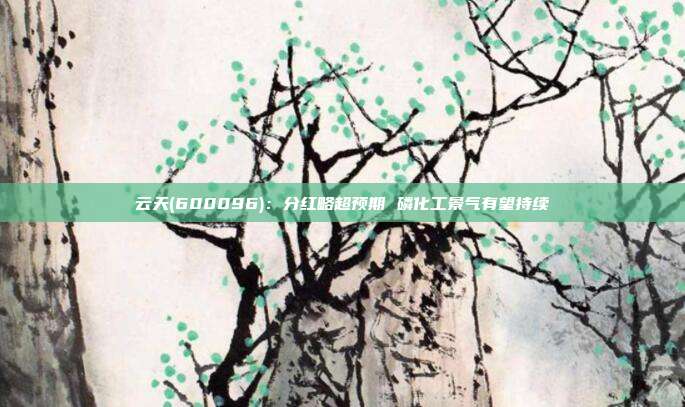 云天(600096):分红略超预期 磷化工景气有望持续