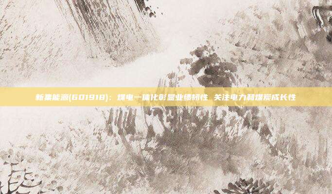 新集能源(601918):煤电一体化彰显业绩韧性 关注电力和煤炭成长性