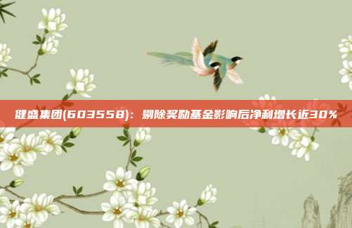 健盛集团(603558):剔除奖励基金影响后净利增长近30%