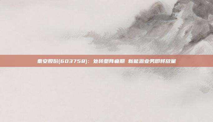秦安股份(603758):处转型阵痛期 新能源业务即将放量