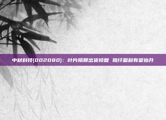 中材科技(002080):叶片隔膜出货修复 玻纤盈利有望抬升