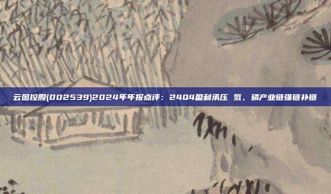 云图控股(002539)2024年年报点评:24Q4盈利承压 氮、磷产业链强链补链