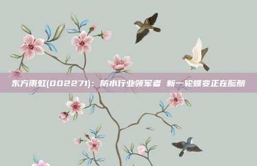 东方雨虹(002271):防水行业领军者 新一轮蝶变正在酝酿