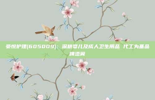 豪悦护理(605009):深耕婴儿及成人卫生用品 代工为基品牌添翼