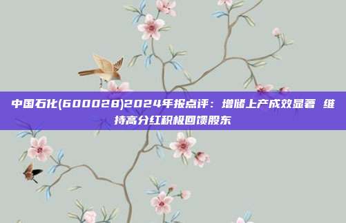 中国石化(600028)2024年报点评:增储上产成效显著 维持高分红积极回馈股东