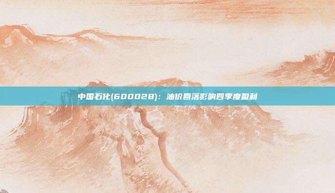 中国石化(600028):油价回落影响四季度盈利