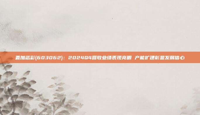 麦加芯彩(603062):2024Q4营收业绩表现亮眼 产能扩建彰显发展信心