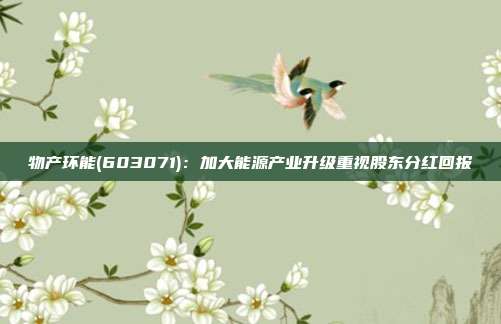物产环能(603071):加大能源产业升级重视股东分红回报
