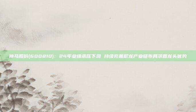 神马股份(600810):24年业绩承压下滑 持续完善尼龙产业链布局巩固龙头优势