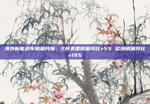 海外新能源车销量月报:2月美国销量同比+5% 欧洲销量同比+19%