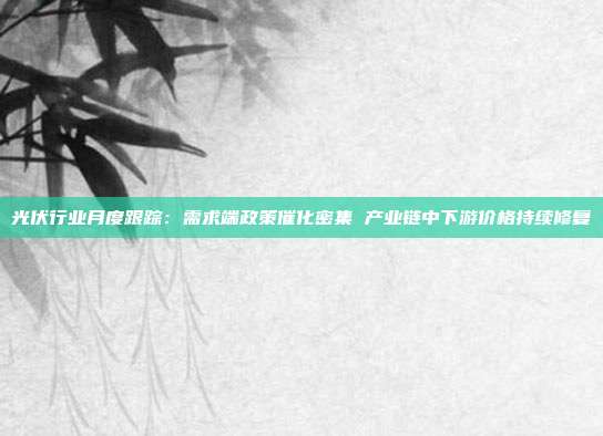 光伏行业月度跟踪:需求端政策催化密集 产业链中下游价格持续修复