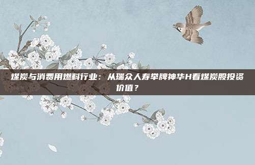 煤炭与消费用燃料行业:从瑞众人寿举牌神华H看煤炭股投资价值?