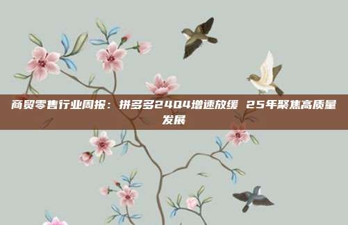 商贸零售行业周报:拼多多24Q4增速放缓 25年聚焦高质量发展