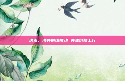 溴素:海外供给扰动 关注价格上行