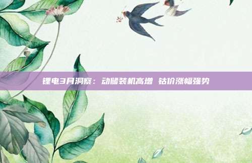 锂电3月洞察:动储装机高增 钴价涨幅强势