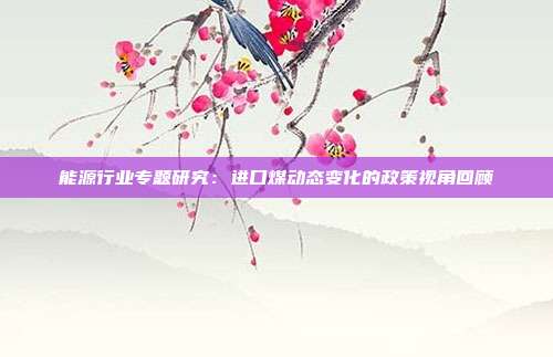 能源行业专题研究:进口煤动态变化的政策视角回顾