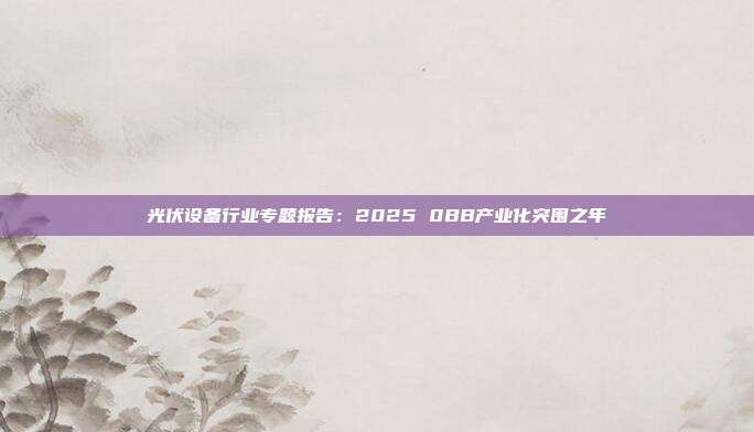 光伏设备行业专题报告:2025 0BB产业化突围之年
