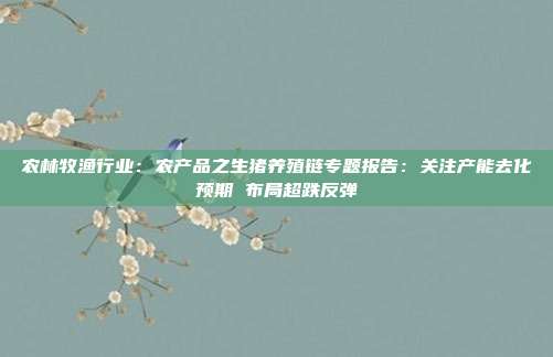 农林牧渔行业:农产品之生猪养殖链专题报告:关注产能去化预期 布局超跌反弹