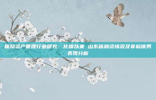 保险资产管理行业研究:化债以来 山东省融资情况及非标债务表现分析