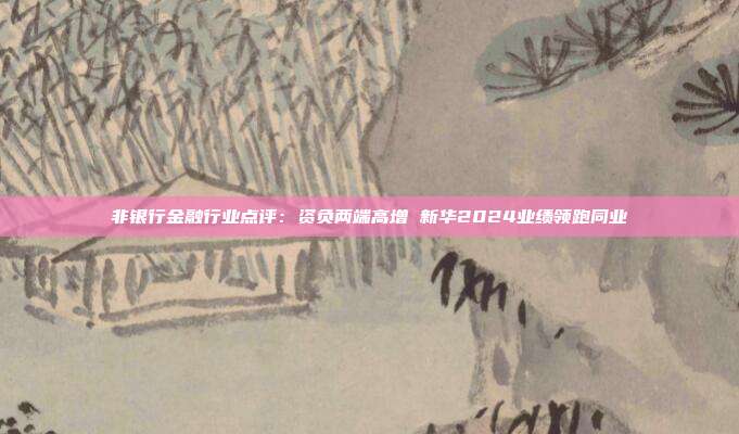 非银行金融行业点评:资负两端高增 新华2024业绩领跑同业
