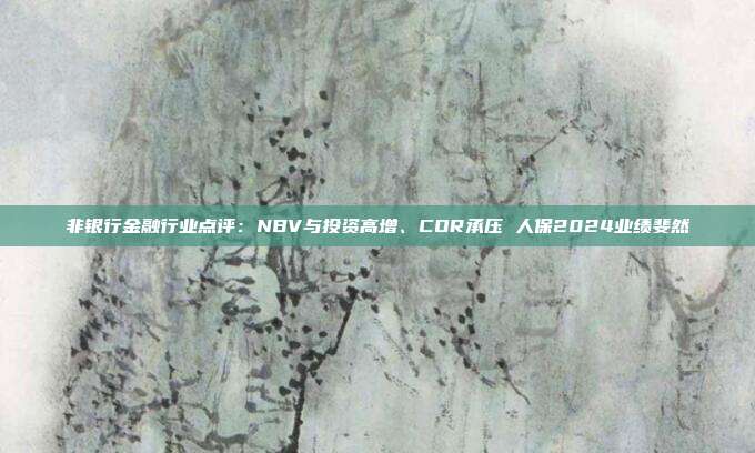 非银行金融行业点评:NBV与投资高增、COR承压 人保2024业绩斐然