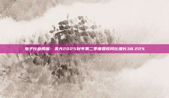 电子行业周报：美光2025财年第二季度营收同比增长38.22%