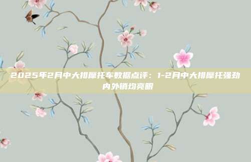 2025年2月中大排摩托车数据点评:1-2月中大排摩托强劲 内外销均亮眼