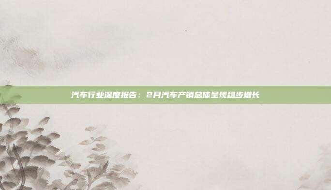 汽车行业深度报告:2月汽车产销总体呈现稳步增长