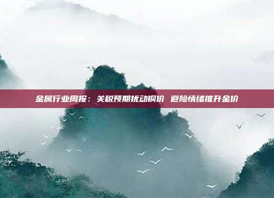 金属行业周报:关税预期扰动铜价 避险情绪推升金价