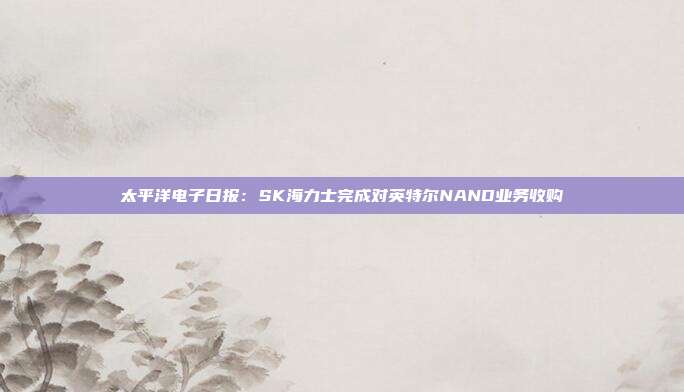 太平洋电子日报:SK海力士完成对英特尔NAND业务收购