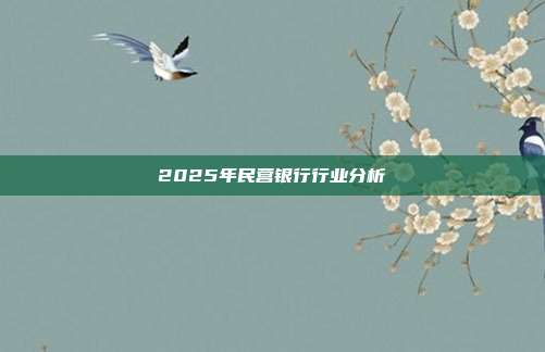2025年民营银行行业分析