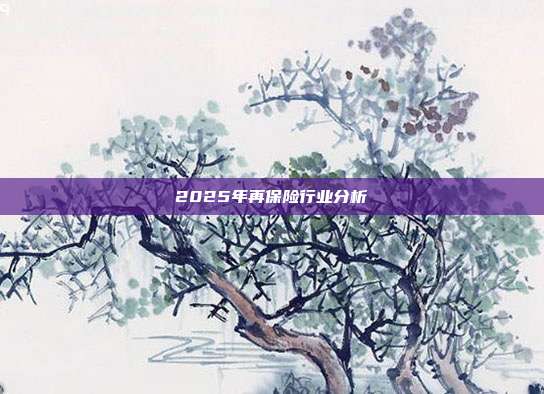 2025年再保险行业分析