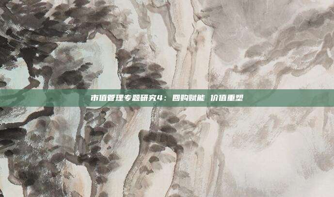 市值管理专题研究4:回购赋能 价值重塑