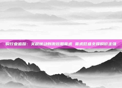铜行业追踪:关税扰动刺激短期需求 需求旺盛支撑铜价走强